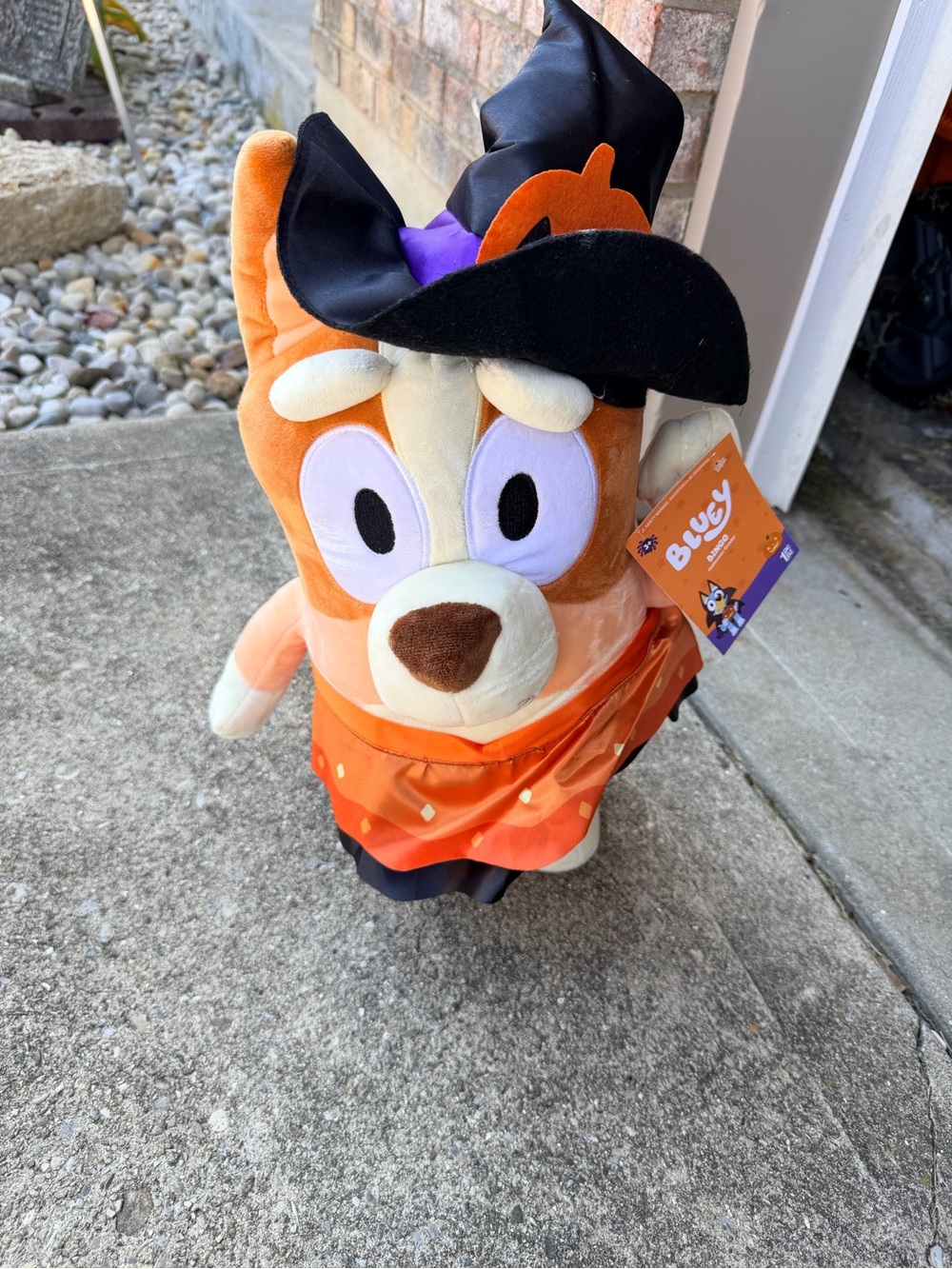 Bluey Bingo Witch Hat Plush Halloween Stuffed Animals New Large 19" Greater